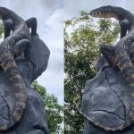 Patung Biawak Karya Seniman Wonosobo Jadi Sorotan karena Mirip Asli