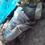 Terungkap identitas mayat di Pamekasan.