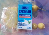 Dalam paket menu MBG, siswa menerima susu 125 ml bertuliskan “Susu Gratis Program MBG – Tidak untuk diperjualbelikan”, roti bungkus, dan beberapa kelengkeng.